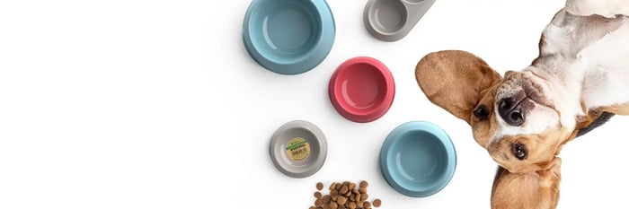 Modernaproducts.com - Where Smart Plastics and Happy Pets Meet Digital Experiences
