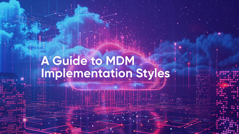 A Guide to Master Data Management Implementation Styles