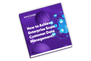Enterprise Scale Customer Data Management