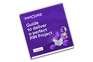 Guide to Deliver a Perfect Product Information Management Project
