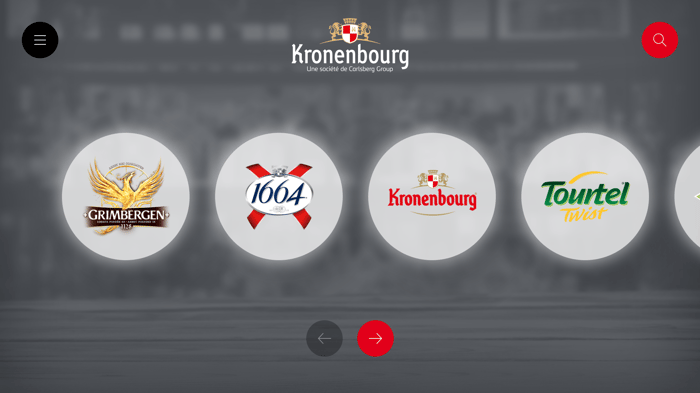 B2B Digital Sales Portfolio for the Kronenbourg Sales Force